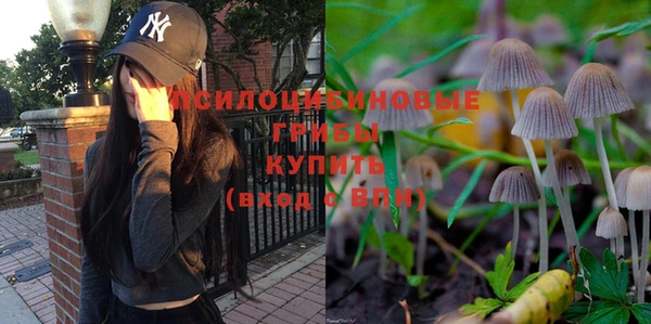 соль ск Лиски