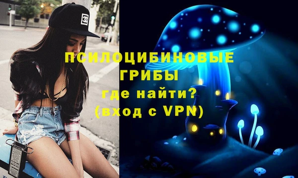 винт Балахна