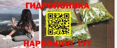 крисы Балашиха